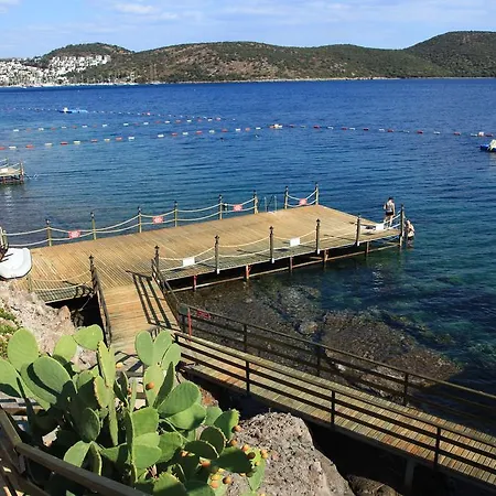 Apart Otel Aktur 3*