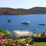 Aktur