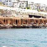 Aktur Bitez