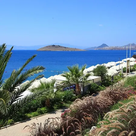Aktur Aparthotel 3*