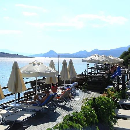 أكتور ريزيدنس بيتيس