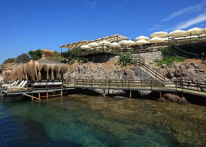 شقة فندقية أكتور ريزيدنس 3*