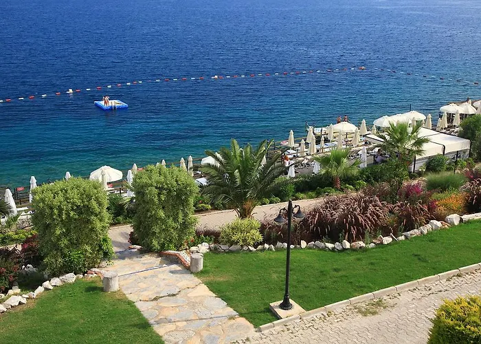 أكتور ريزيدنس 3*