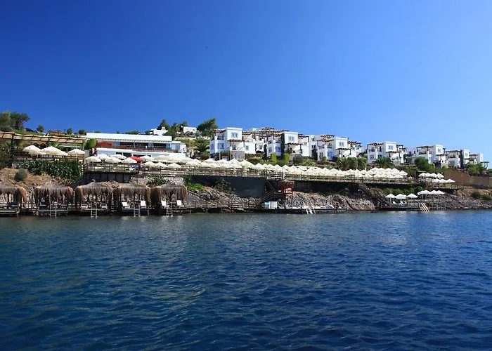 أكتور ريزيدنس شقة فندقية 3*