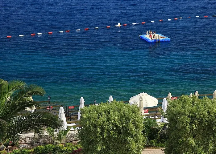 شقة فندقية أكتور ريزيدنس بيتيس