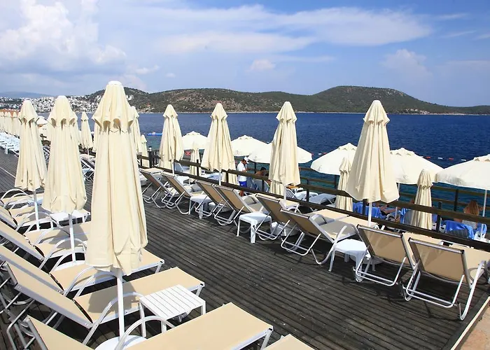 أكتور ريزيدنس