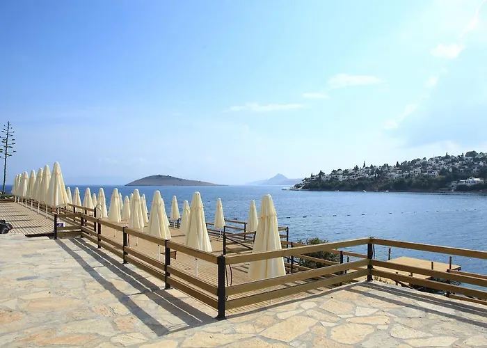 أكتور ريزيدنس 3* بيتيس