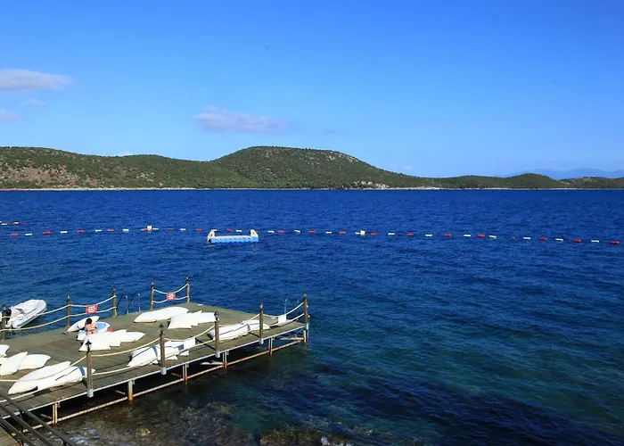 أكتور ريزيدنس بيتيس