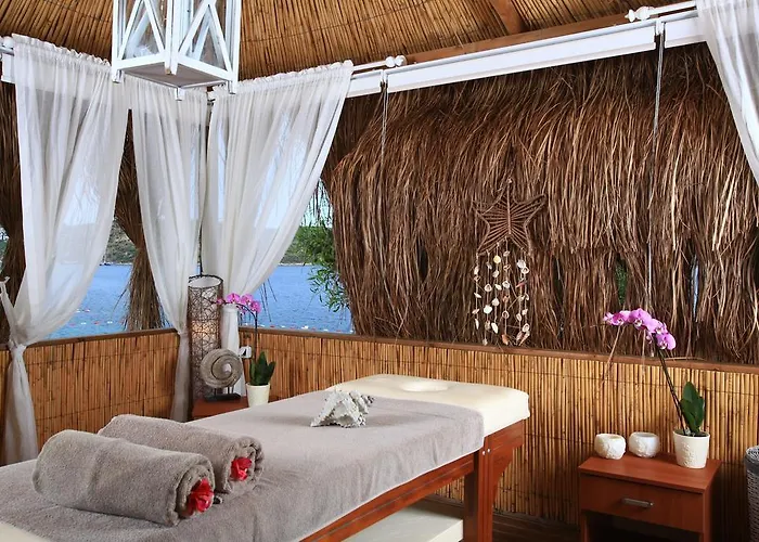 أكتور ريزيدنس 3*