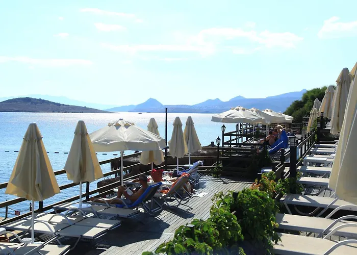 أكتور ريزيدنس بيتيس