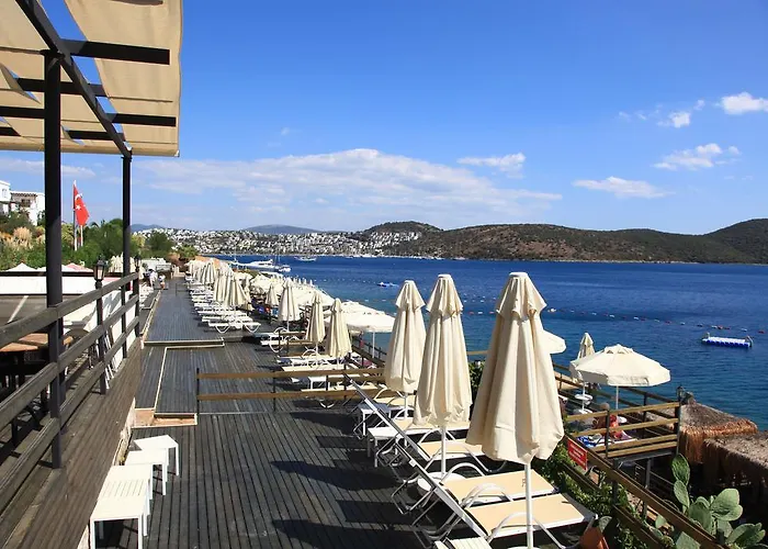 شقة فندقية أكتور ريزيدنس