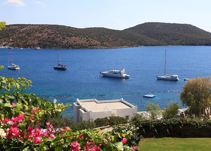 أكتور ريزيدنس