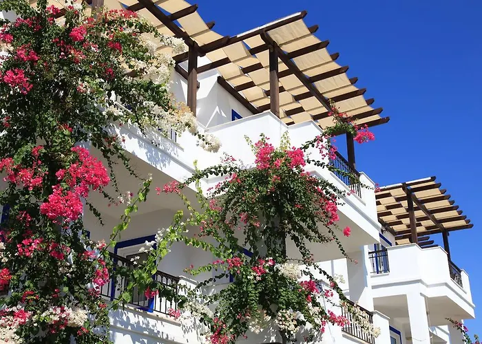 أكتور ريزيدنس 3* بيتيس