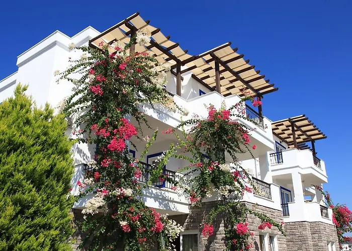 أكتور ريزيدنس