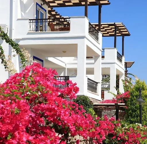 أكتور ريزيدنس شقة فندقية بيتيس