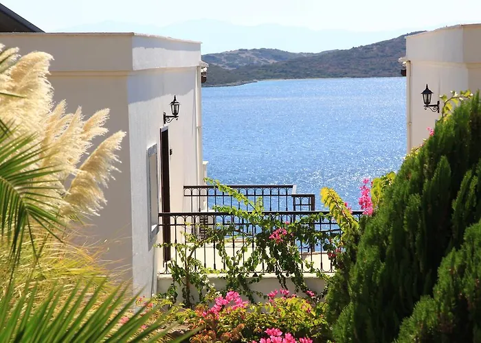 أكتور ريزيدنس شقة فندقية