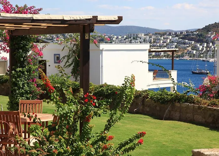 أكتور ريزيدنس