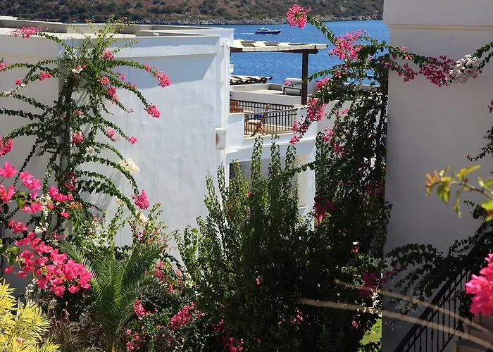 أكتور ريزيدنس بيتيس