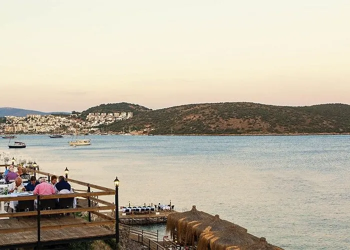 شقة فندقية أكتور ريزيدنس 3*