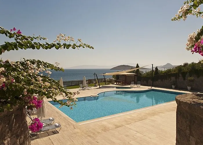 أكتور ريزيدنس 3*