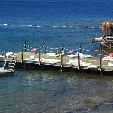 公寓式酒店 阿卡特尔公寓式酒店 3*