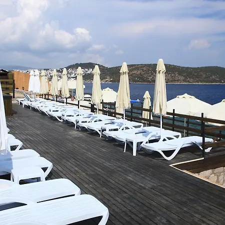 公寓式酒店 阿卡特尔公寓式酒店 比特兹