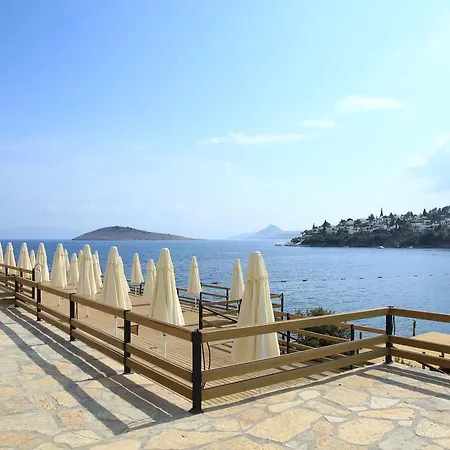 阿卡特尔公寓式酒店 3* 比特兹