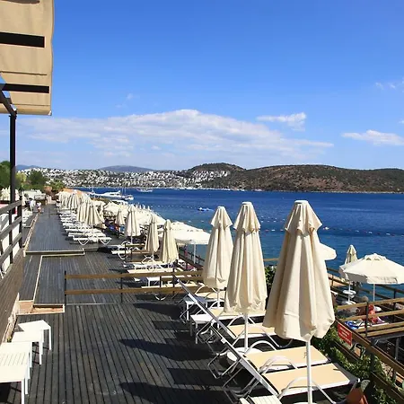 Apartahotel Aktur