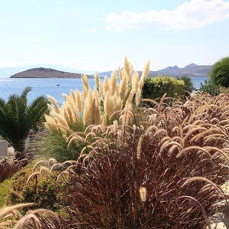 公寓式酒店 阿卡特尔公寓式酒店 3*