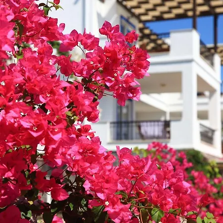 阿卡特尔公寓式酒店 3*