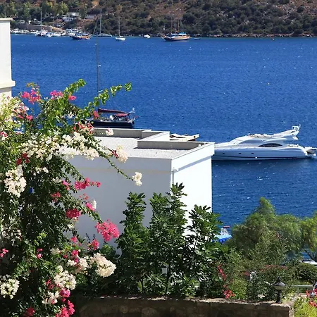 公寓式酒店 阿卡特尔公寓式酒店 3*