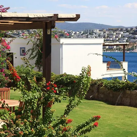 阿卡特尔公寓式酒店