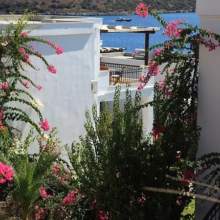 阿卡特尔公寓式酒店 比特兹