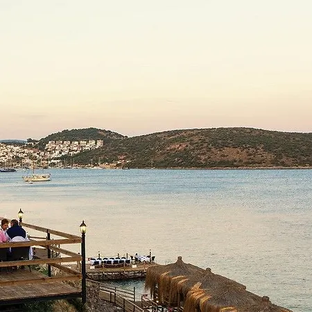 公寓式酒店 阿卡特尔公寓式酒店 3*