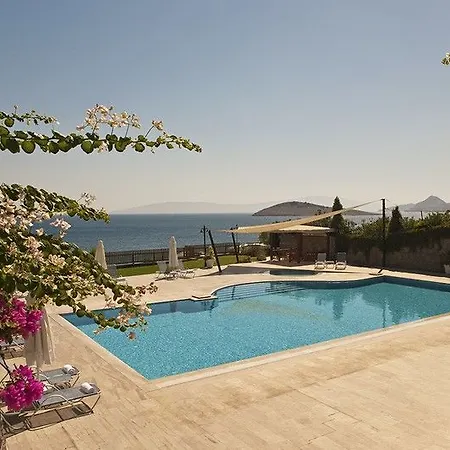 阿卡特尔公寓式酒店 3*