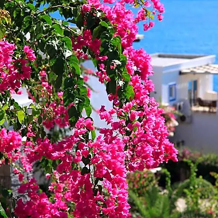 Aktur Appart hôtel Bitez