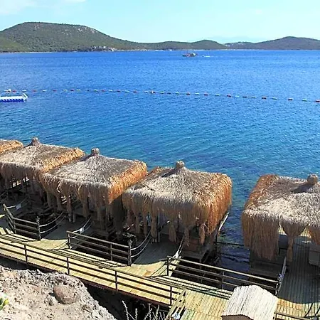Aktur 3*