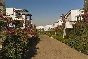 Aparthotel Aktur