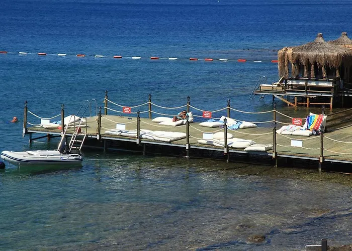 Apartahotel Aktur 3*