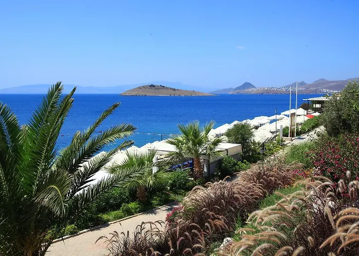 Aktur Apartahotel 3*