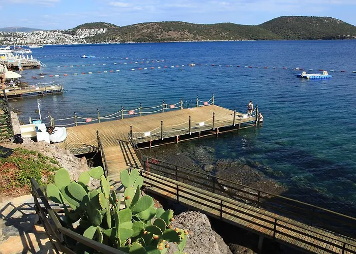 Apartahotel Aktur 3*