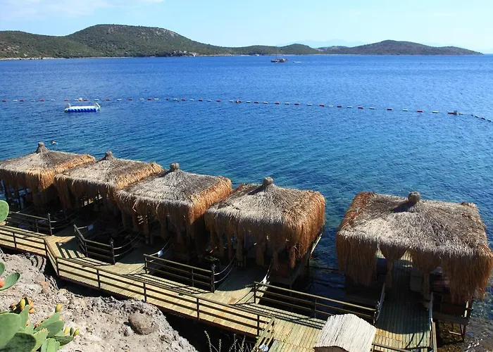 Apartahotel Aktur