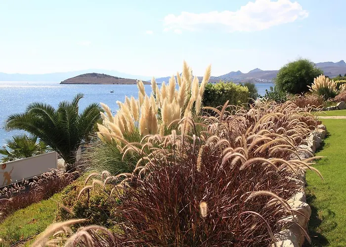 Apartahotel Aktur 3*